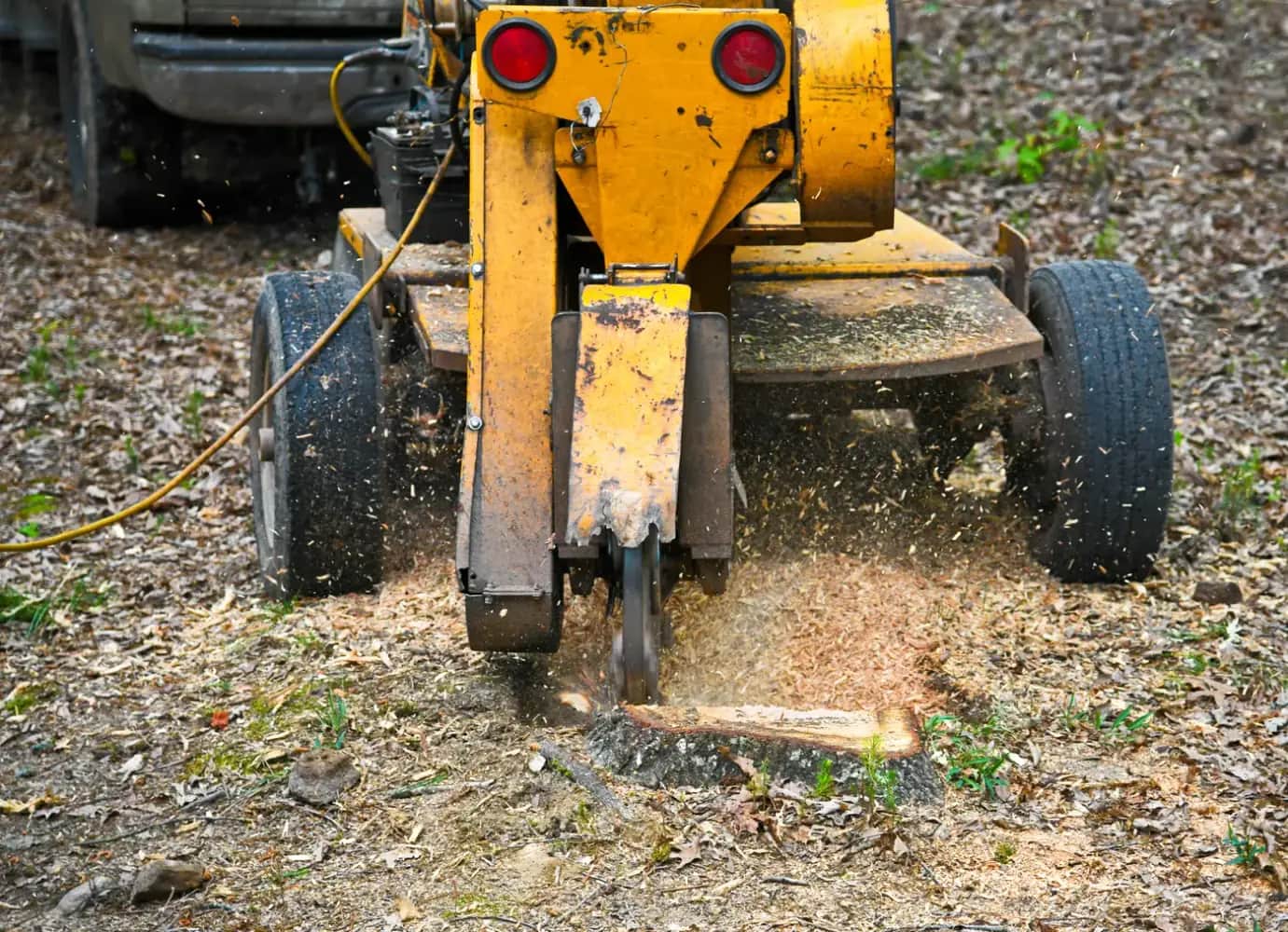 Nashville Tree Co. tree services in Nashville