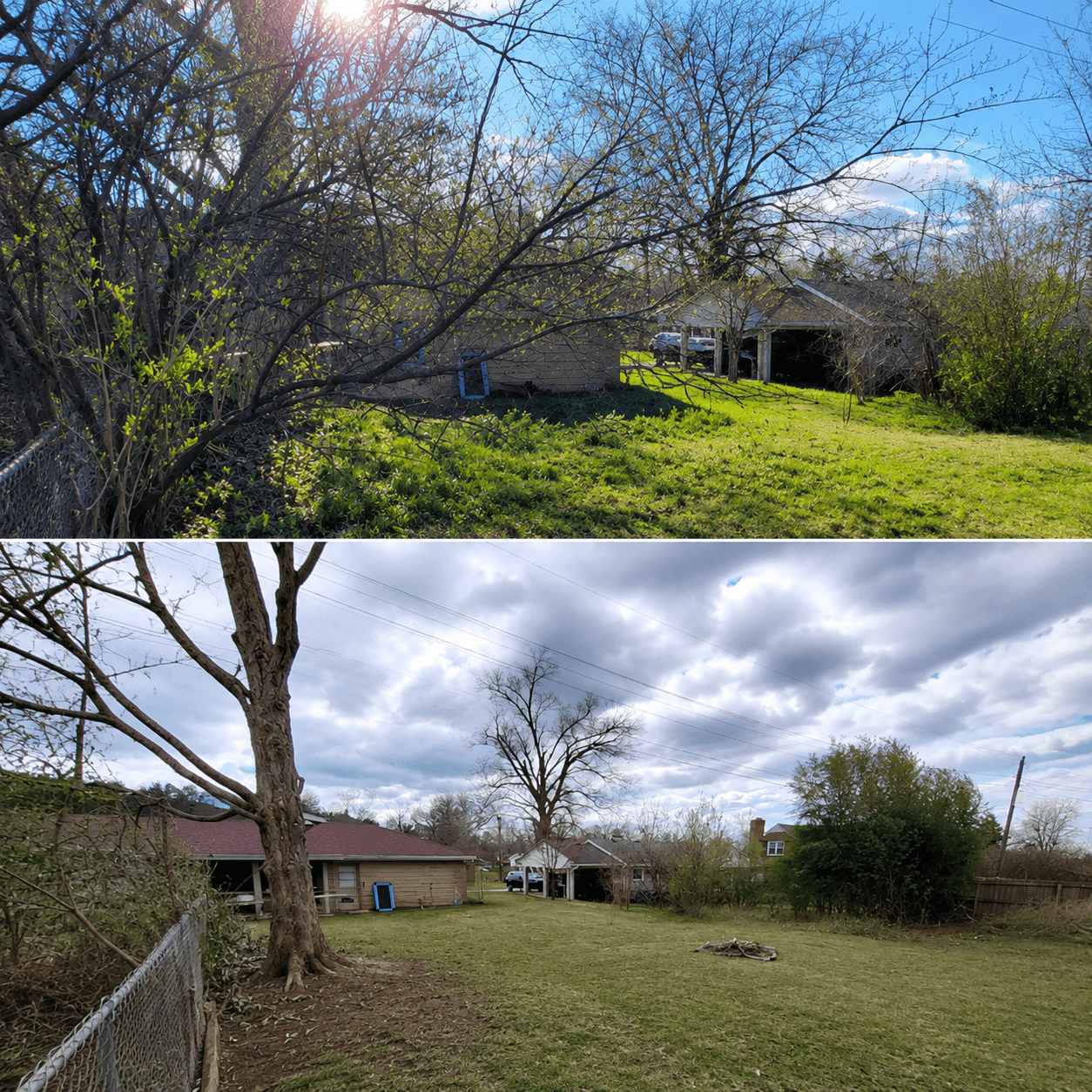 Before and after - Nashville Tree Co. project