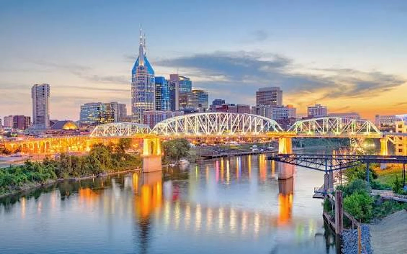 Nashville skyline representing Nashville Tree Co. service area