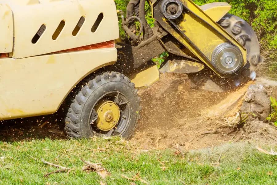 Stump Grinding by Nashville Tree Co. in Nashville